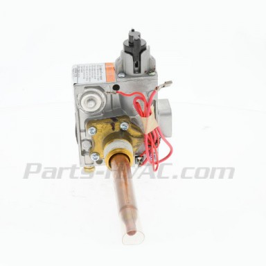 9006655005 AO Smith 100111369