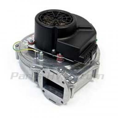 265-48922-00 Bradford White