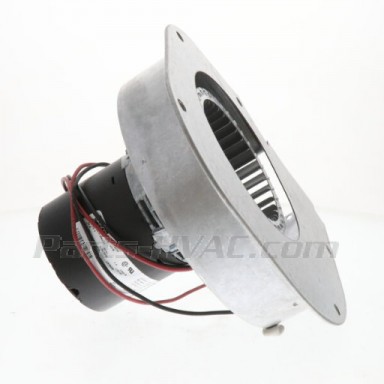 BLW0451 Side View BLW0451 Side View