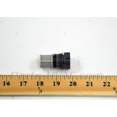 RTG20164AK Rheem INLET WATER FILTER