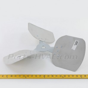 60557701 Lau Fan