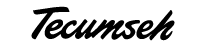 Tecumseh parts
